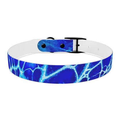 Personalised Dog Collar