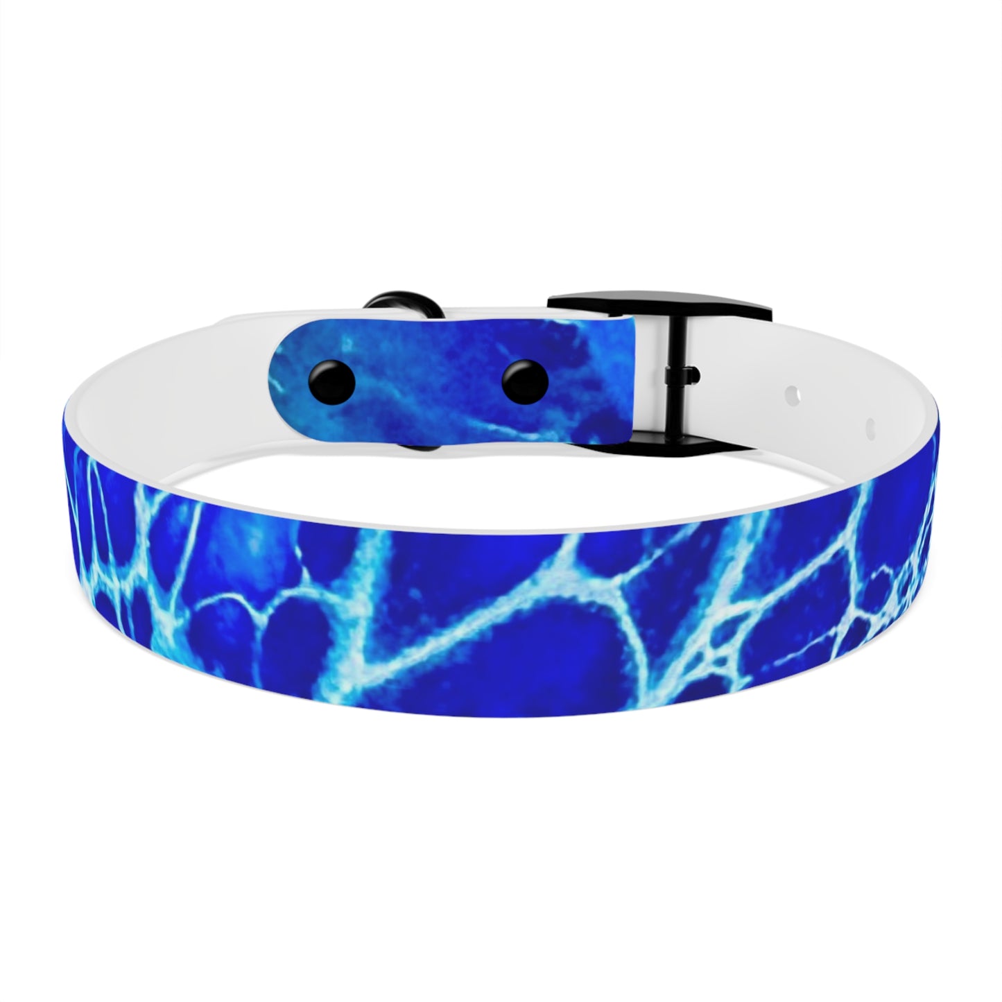 Personalised Dog Collar