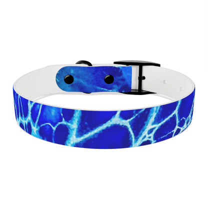 Personalised Dog Collar