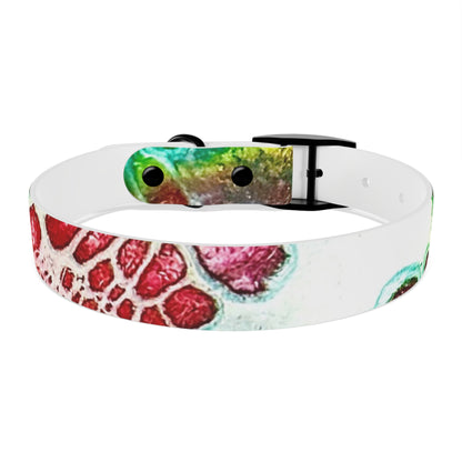 Personalised Dog Collar